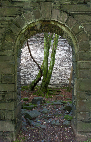 Abandoned chapel, near Corris