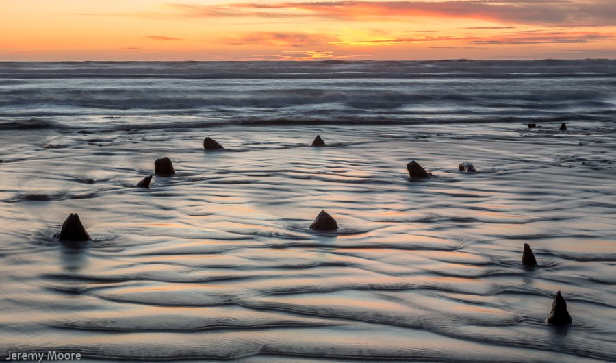 Submerged forest, Borth - receding tide.