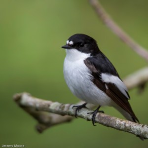 Who's a pretty boy, then.......