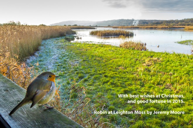 Christmas greetings to all my readers!