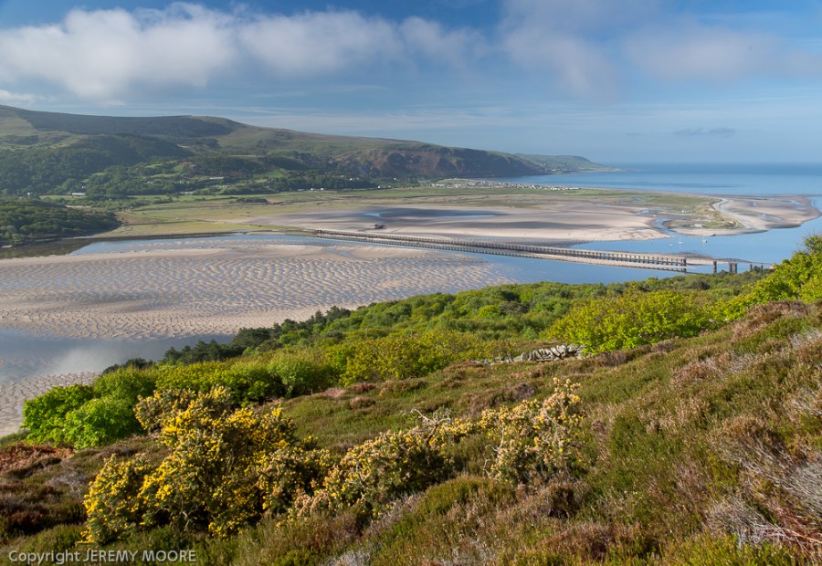 Mawddach estuary 8 am.