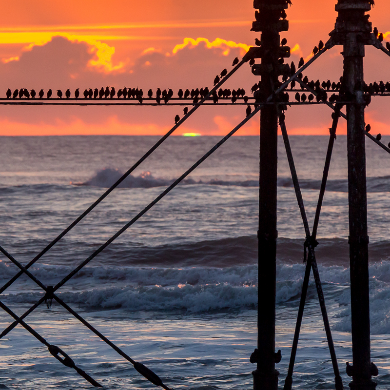 The Green Flash, Aberystwyth, 11/02/17.